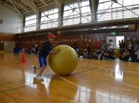 DSC_0433 (1024x684)